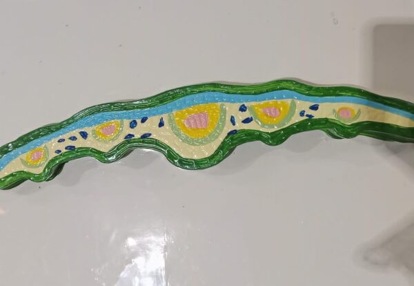 Monocot leaf 2D Model